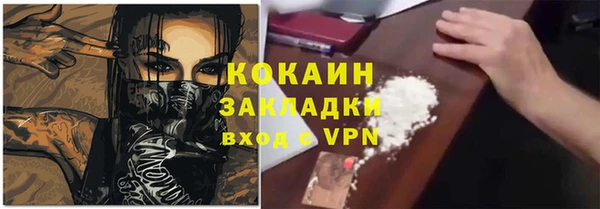 стафф Алексин