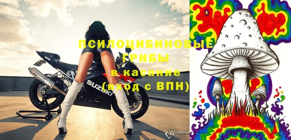 ПСИЛОЦИБИНОВЫЕ ГРИБЫ Алзамай