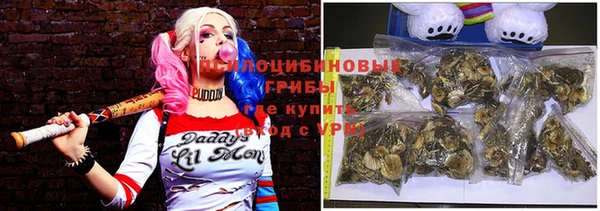 ПСИЛОЦИБИНОВЫЕ ГРИБЫ Алзамай