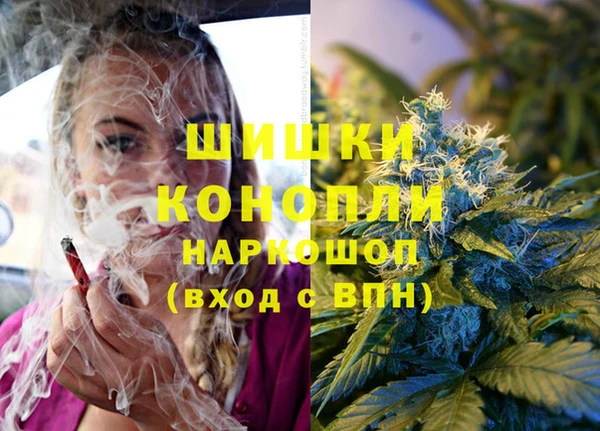 стафф Алексин