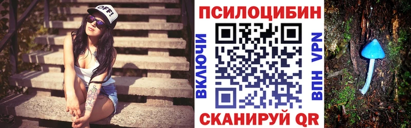 мега tor  Донской  Галлюциногенные грибы прущие грибы 