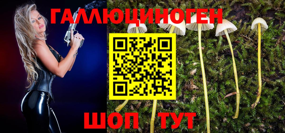 Псилоцибиновые грибы Psilocybe  Вход с VPN  Псилоцибиновые грибы прущие грибы  дарнет шоп  Донской 